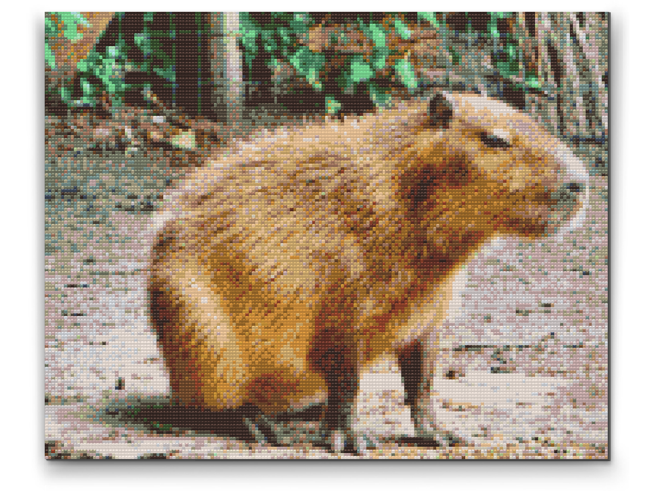 Diamantové malování - Capybara